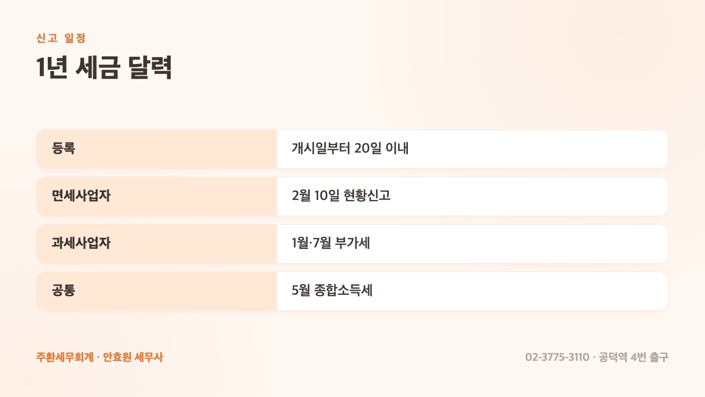 인플루언서 신고 일정표